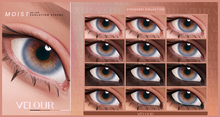 VELOUR "MOIST" EYESOCKET