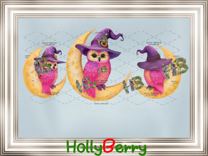 HB: Witchy Moon Owl FuLL PERM