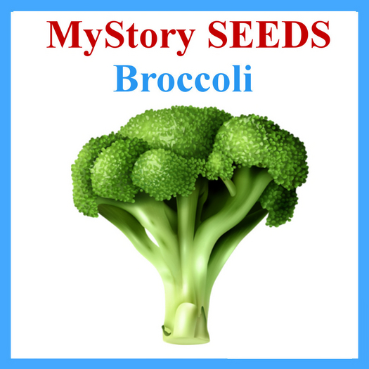 MyStory Seeds (Broccoli) x 250