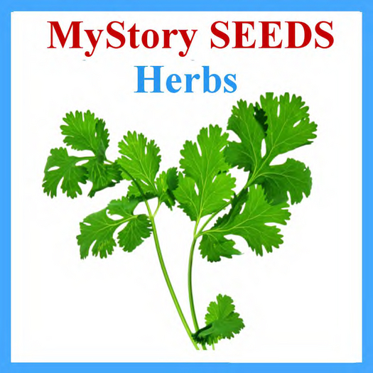 MyStory Seeds (Herb) x 250