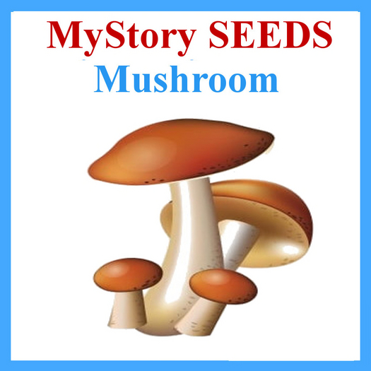 MyStory Seeds (Mushroom) x 250