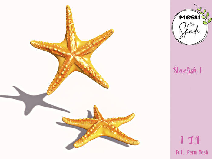 MBS - Starfish 1