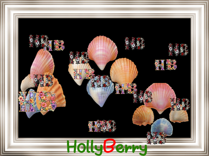 HB: Seashells FULL PERM