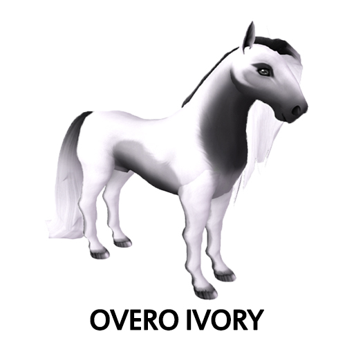 Amaretto Breedable Bundle Overo Ivory 3