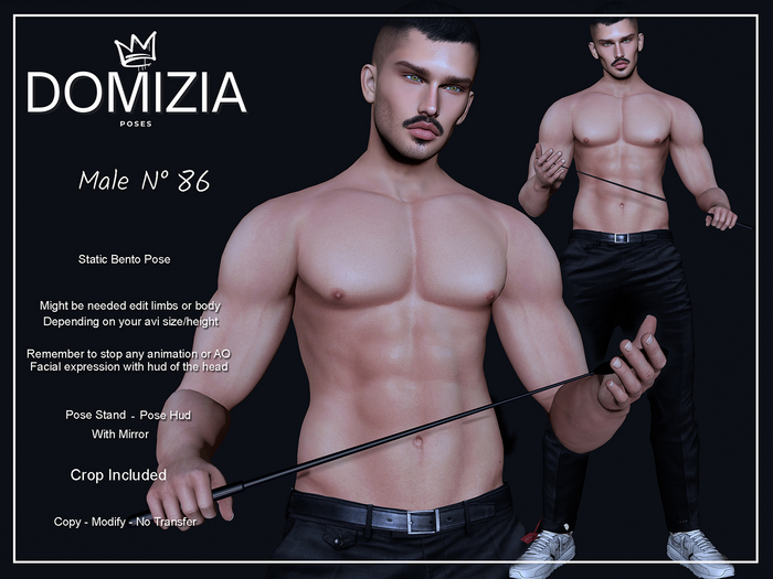 .::Domizia Poses::. - Male 86