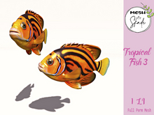 MBS - Tropical Fish 3 