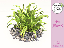 MBS - Sea Plant 6 