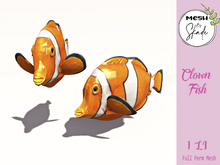 MBS - Clown Fish