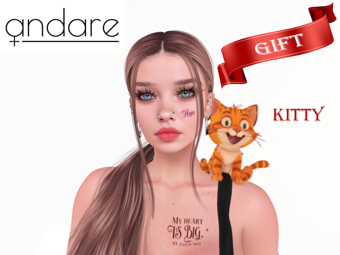 Andare Gift - Kitty PACK