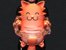Kitty Baby Orange Plush (ADD)