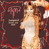 ~RM~ Leopard orange (BOM + only female)