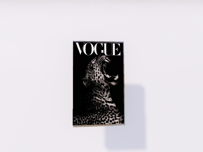 SF - Vogue Wall Frame 