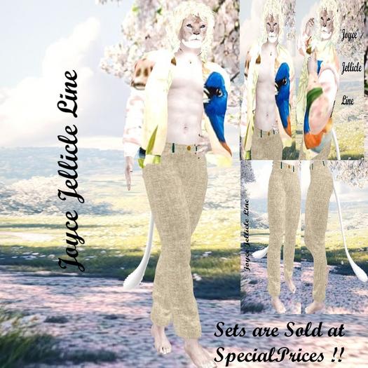Vivid Jay & Laidback Khakis Set