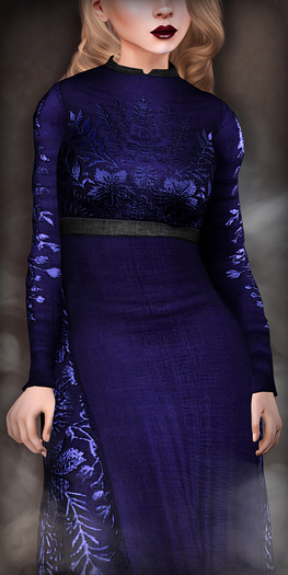 TheMuses - Embroidered Gown - Violet