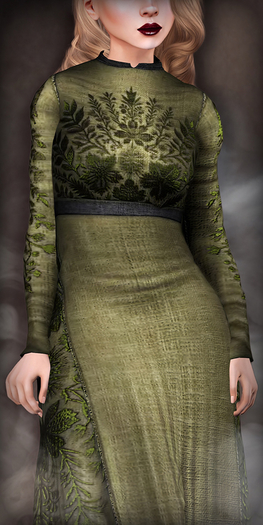 TheMuses - Embroidered Gown - Olive