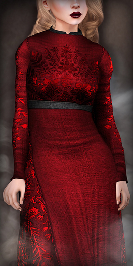 TheMuses - Embroidered Gown - Crimson