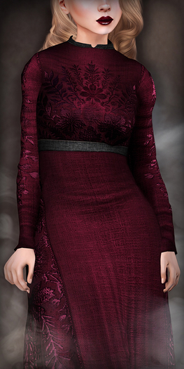 TheMuses - Embroidered Gown - Burgundy