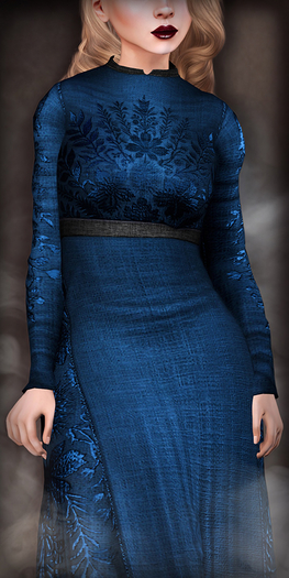 TheMuses - Embroidered Gown - Blue