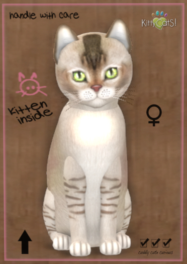 KittyCatS Box - 9T(Lush,GStar) GBurst Chop CTip BChoc F