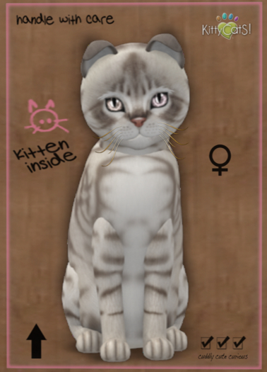 KittyCatS Box - 9TF Australian Mist - Blue Marble (M:Leonie D:L