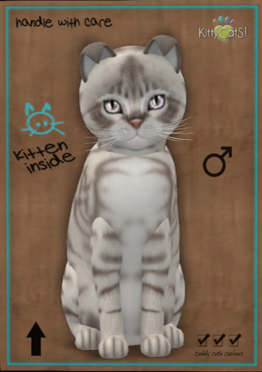 KittyCatS Box - 9TM Australian Mist - Blue Marble