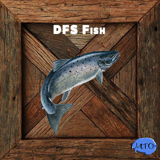 [25] DFS Fish