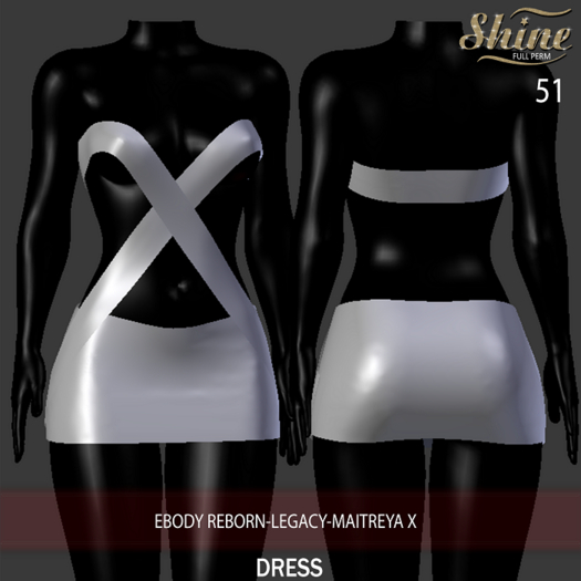 [SHINE FULL PERM] 51