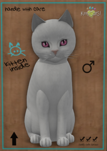 Kitty CatS Russian - White