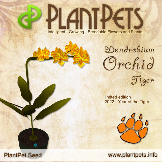 PlantPet Seed [Dendrobium Orchid *Tiger*] LIMITED