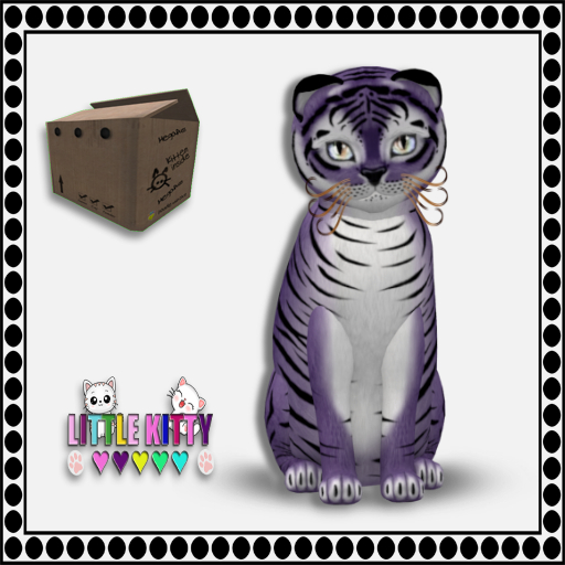 KittyCatS Box - Tiger! - Dusky Plum F