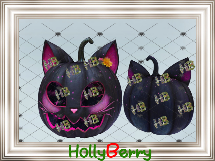 HB: Pumpkin Cat FuLL PERM