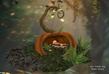 10_Darkmoors Music Box_3rd Eye - SALE !