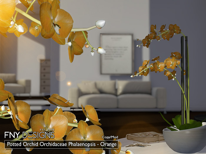 :FNY: Designs - Potted Orchid ORANGE