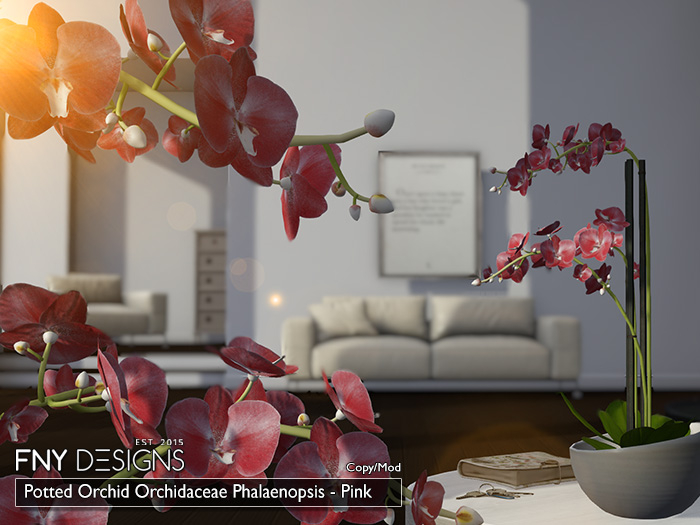 :FNY: Designs - Potted Orchid PINK