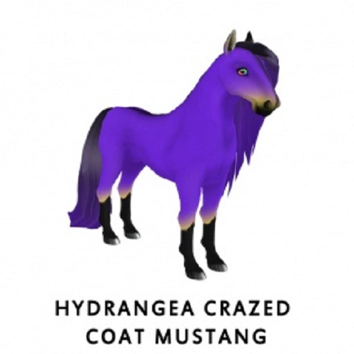 Hydrangea Crazed Coat Mustang F