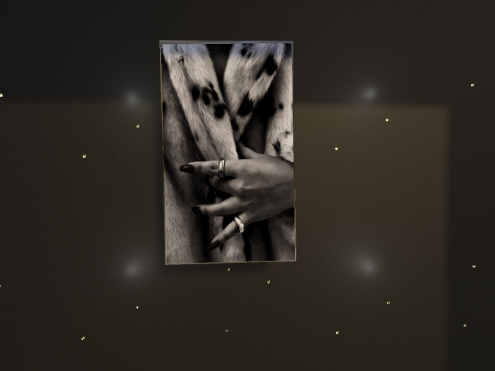 SF - Vintage Fur Wall Art