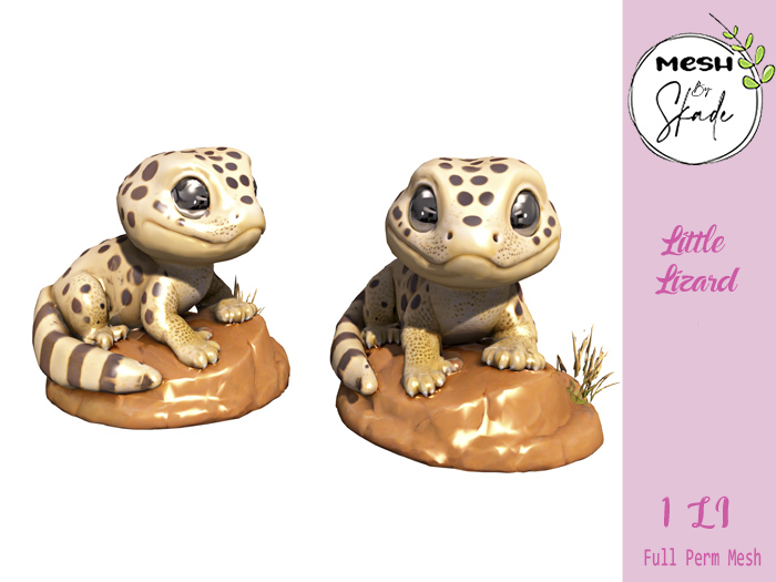 MBS - Little Lizard 