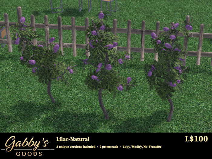Lilac-Natural