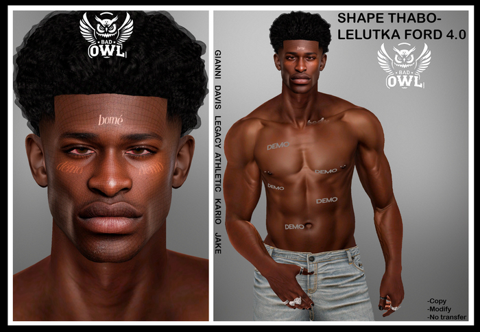 SHAPE THABO-LELUTKA FORD 4.0