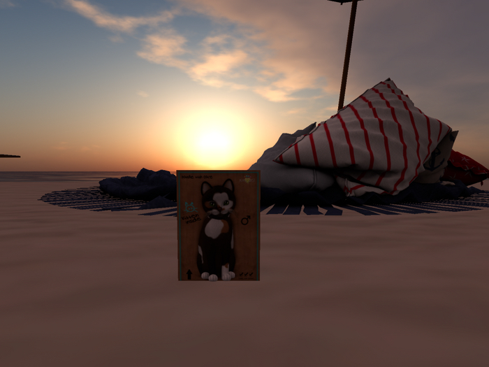 KittyCatS Box - New Born Kitten 6