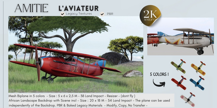Amitie- L Aviateur Backdrop