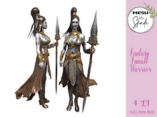 MBS - Fantasy Female Warrior 
