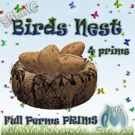 Birds Nest  Boxed FP