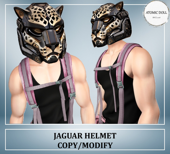 Helmet