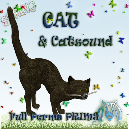 Cat & Sound Box FP