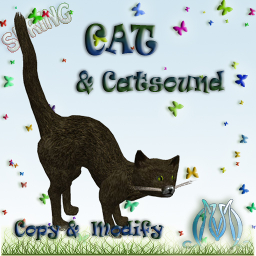 Cat & Sound Boxed MC
