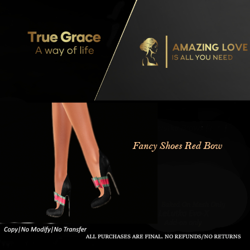 Fancy Shoes Red Bow -Legacy