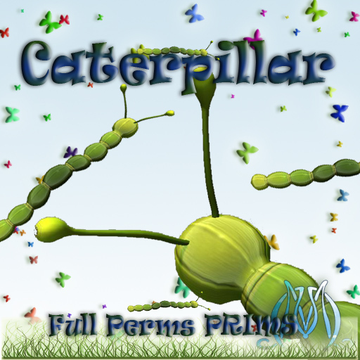 Caterpillar Boxed FP
