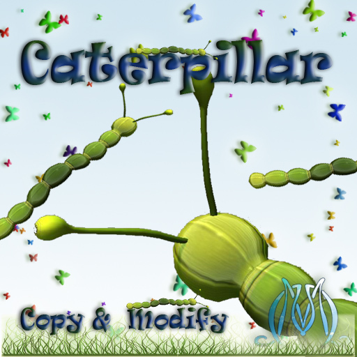 Caterpillar Boxed MC
