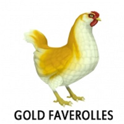 Amaretto Barnyard Chicken Nest - Gold Faverolles - Hen